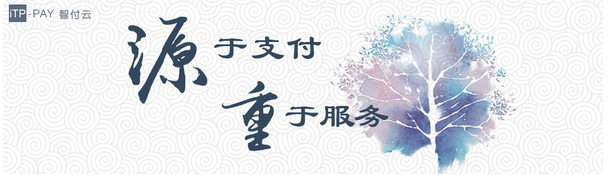 智付云：立足支付，服务企业  