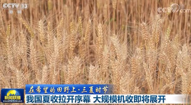 我国夏收拉开序幕 大规模机收即将展开