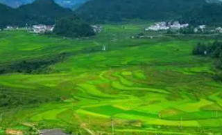 聚焦高标准农田建设 持续擦亮“农地”品牌